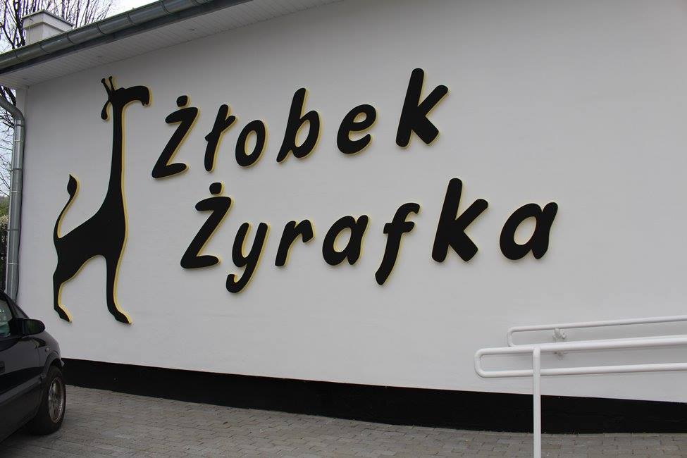 zyrafka