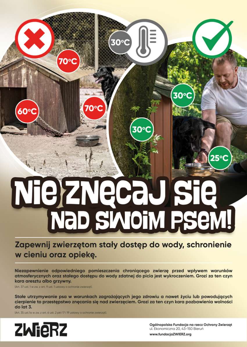 Afisz promocyjno -informacyjny