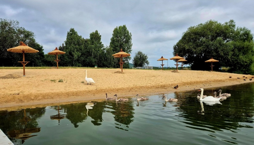 Parasole hawajskie na Campingu Sudety