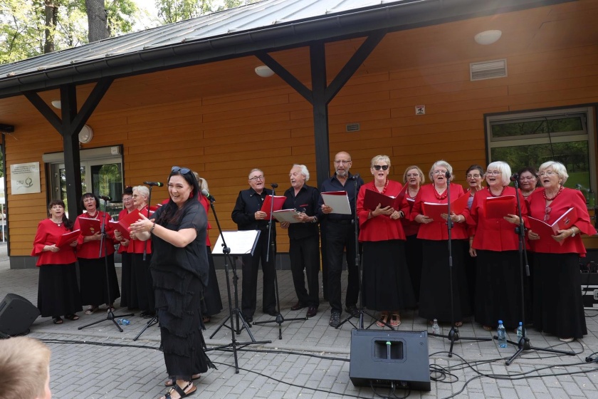 Występ zespołu Czerwona jarzębina w Parku Miejskim