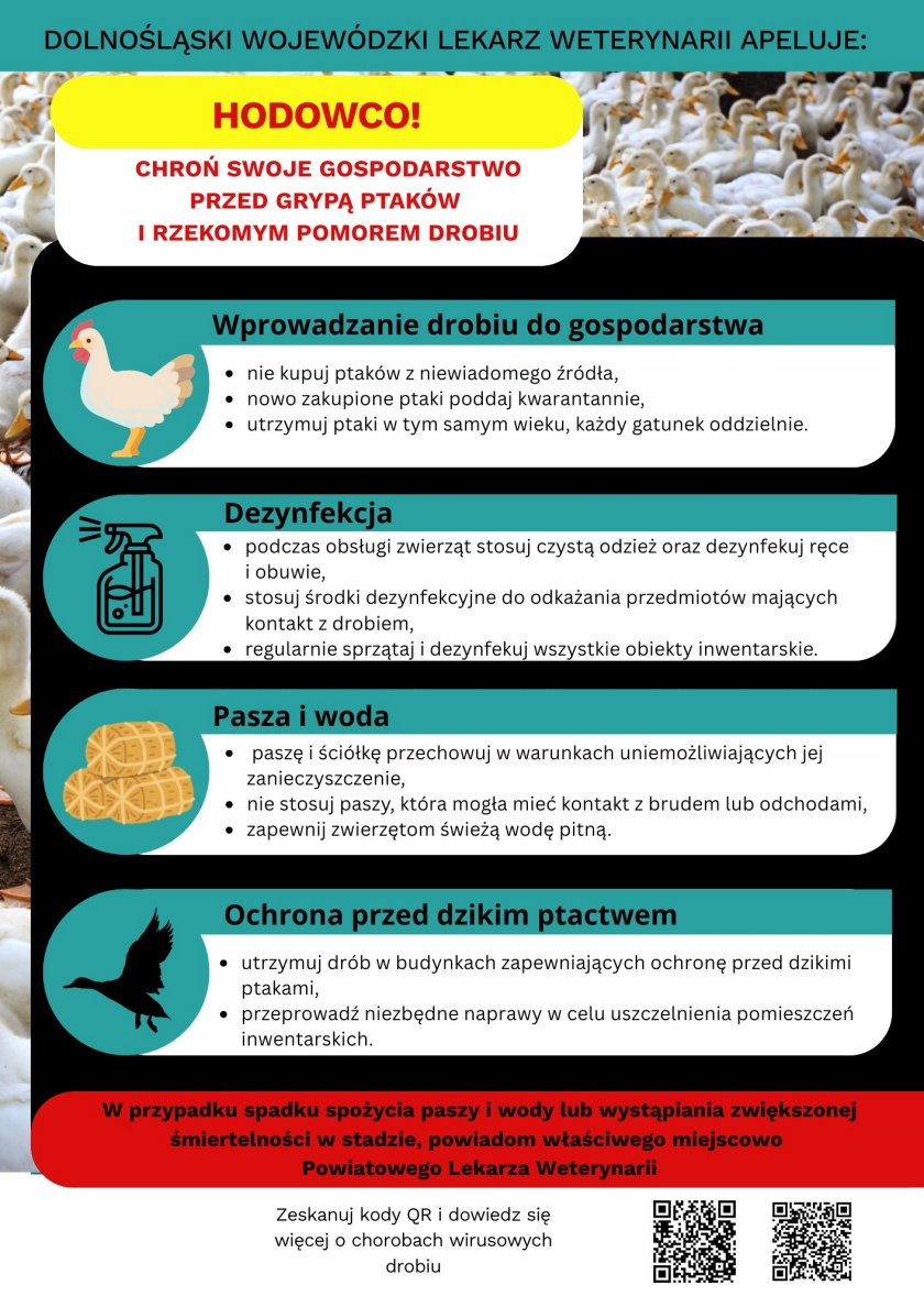 Afisz z informacjami