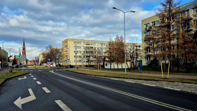 Nowe nasadzenia drzew i krzewów