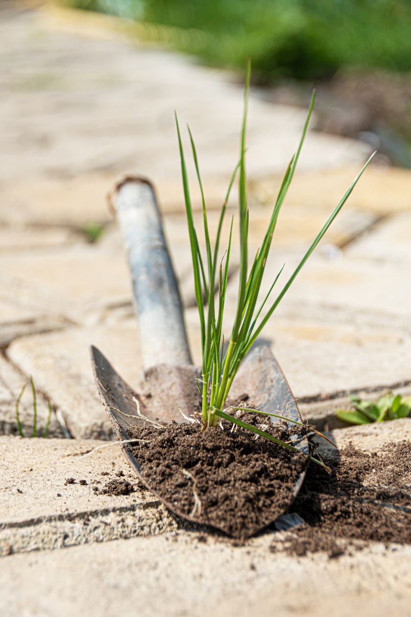 Wiosenne porządki zdjęcie poglądowe