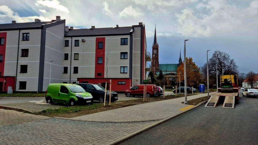 Nowe nasadzenia drzew