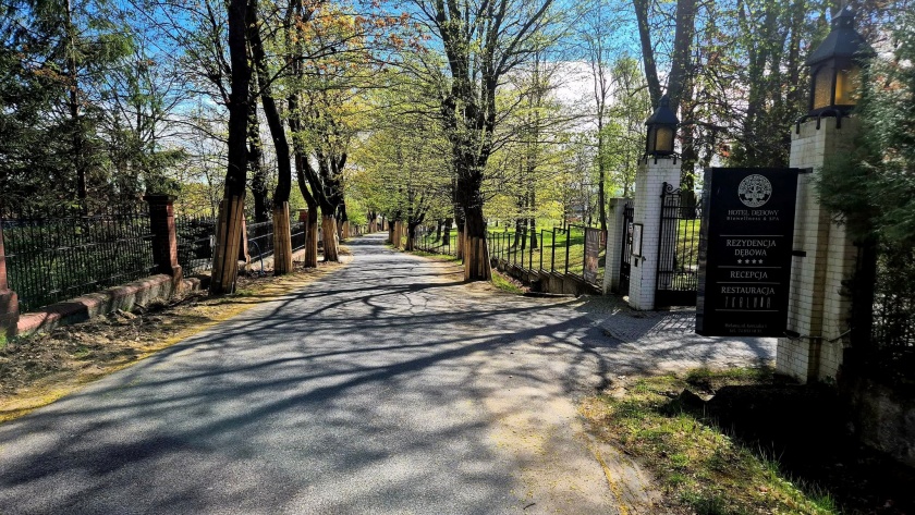 ulica Janusza Korczaka, po obu stronach drzewa