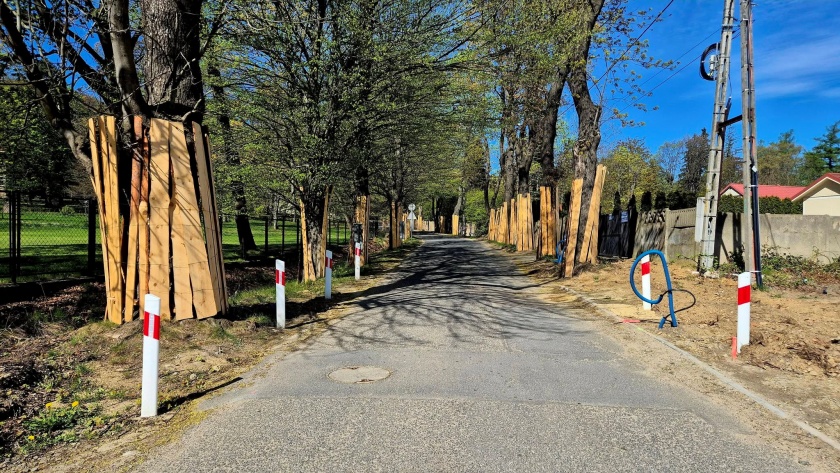 Ulica Janusza Korczaka, po obu stronach drzewa