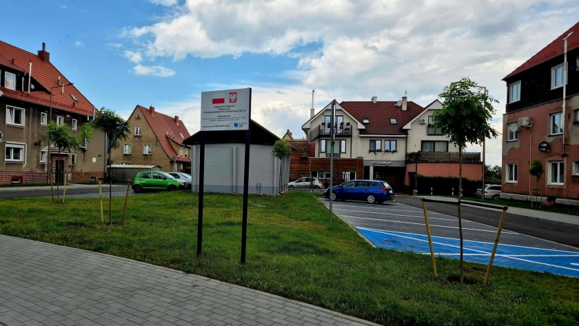Nowe nasadzenia drzew